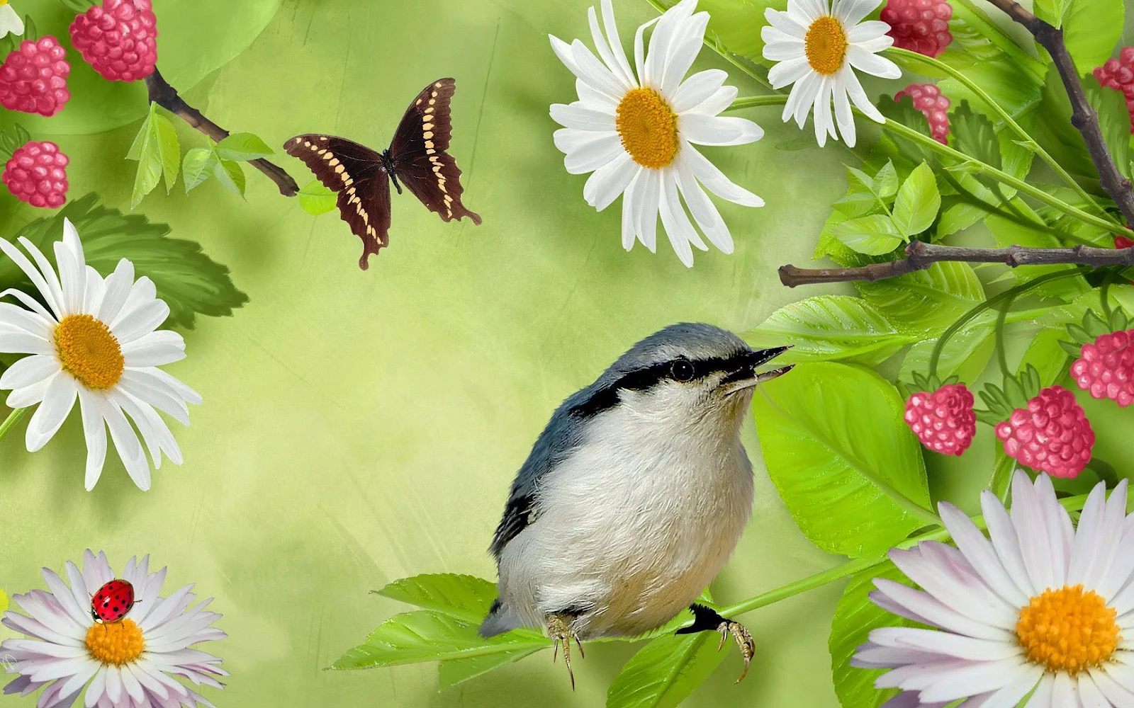 Zomer foto met vogel, vlinder en bloemen