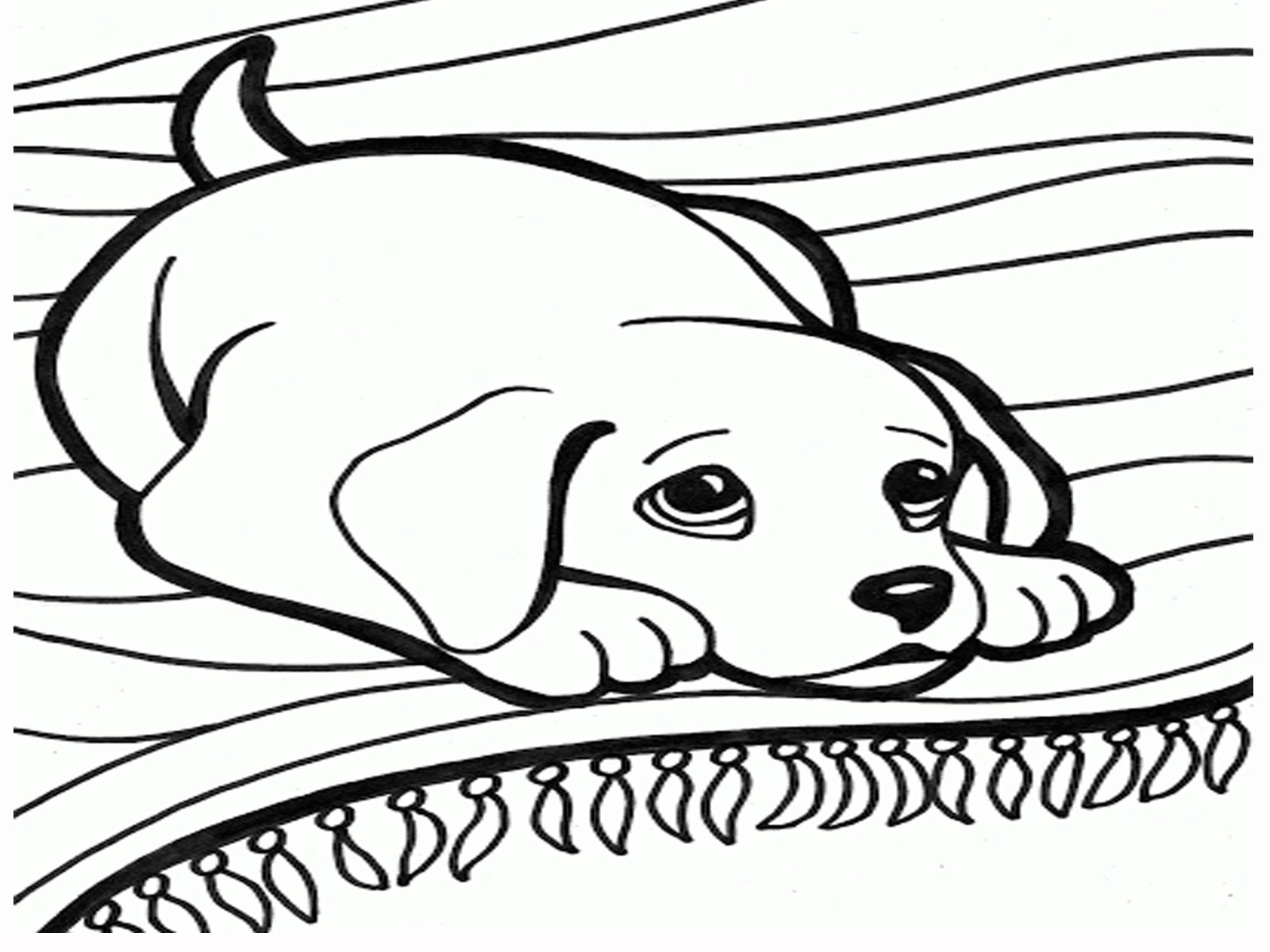 Printable Cute puppy playing coloring page sheet - cute puppy coloring pages