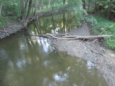 looking out over the creek (water is low and we need rain)