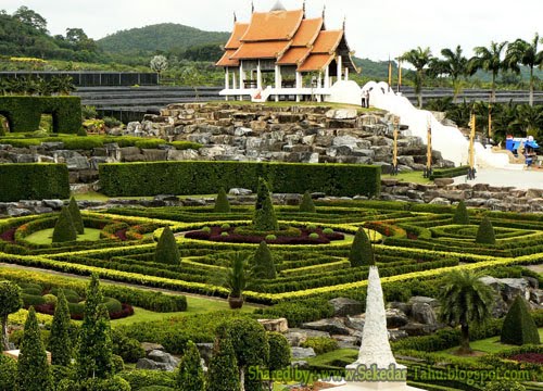 Nong Nooch Tropical Garden-11