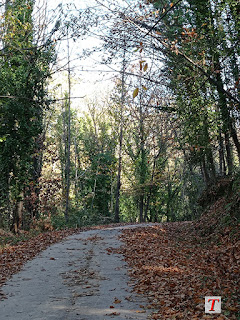 Resaerva Natural de la Garganta de los Infiernos en El Valle del Jerte, Extremadura