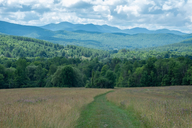 The view from the meadow on a cloudy day in Taconic Mountains Ramble State Park, Vermont