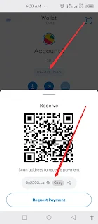 Copy your wallet Address | Tech Tutorials hub