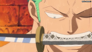 ワンピースアニメ パンクハザード編 580話 ロロノア・ゾロ Roronoa Zoro | ONE PIECE Episode 580