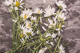 funeral-flores-muertas