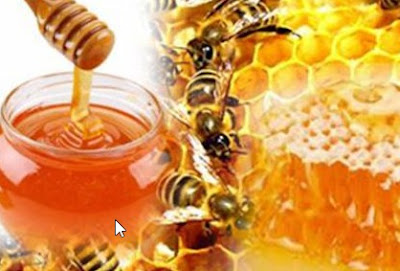 manfaat madu untuk kesehatan tubuh