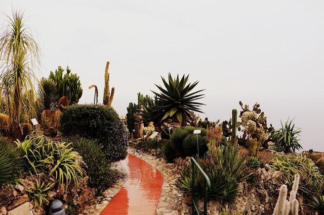 Le Jardin exotique d'Eze