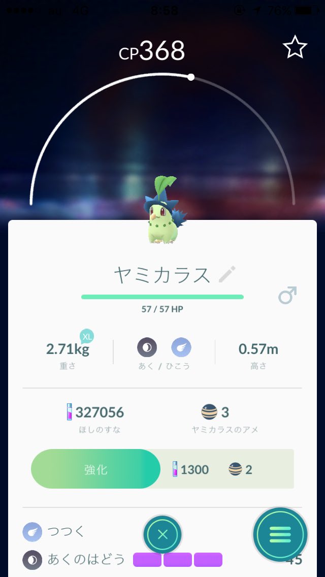 またポケモンバグってて可愛いことになってる