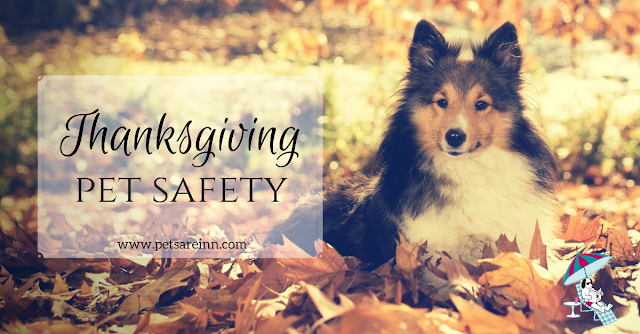 Thanksgiving Pet Safety