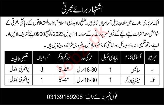 Latest Government Organization Management Posts Islamabad 2023