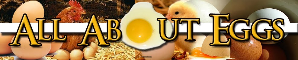 All about Eggs