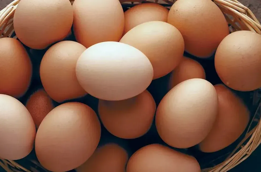 how long to boil eggs and the ultimate guide on how to achieve perfectly boiled eggs