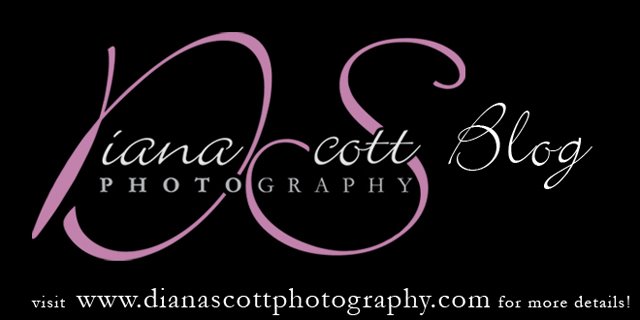 header for blogspot. Diana Scott Photography Blog