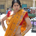 Actress Sangeetha Hot in Saree at Dhanam Telugu Movie