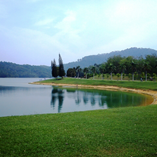 View album