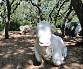 arboretum austin cow sculptures