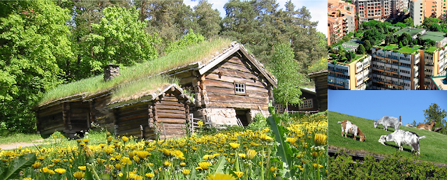 Green roofs then and now, as described in the cutline.