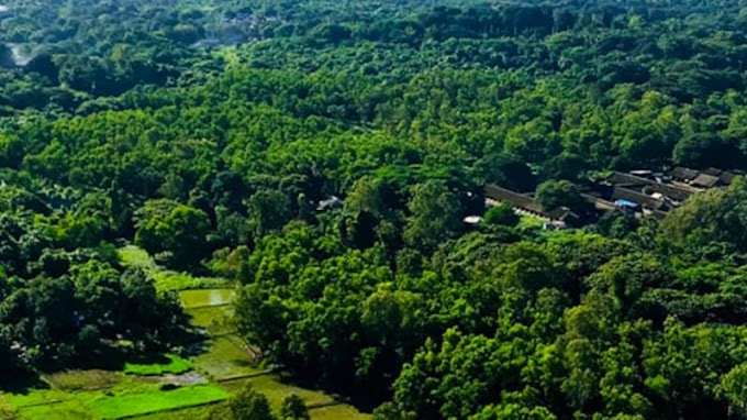  मुंबईच्या मधोमध विस्तीर्ण जंगल फुलविण्याचा मार्ग मोकळा, आरेकडून वन विभागास मिळाला ८१२ एकर जागेचा ताबा