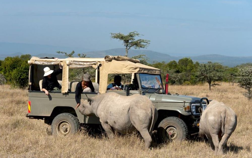 التخييم والحياة البرية في كينيا