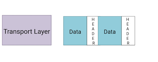 transport layers working segmentation