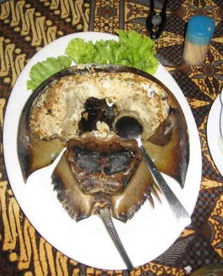 Horseshoe Crab Roe; Nast, eaten in China