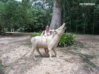 Manaus | Fomos conhecer o Sauim-de-Manaus no Parque do Mindu