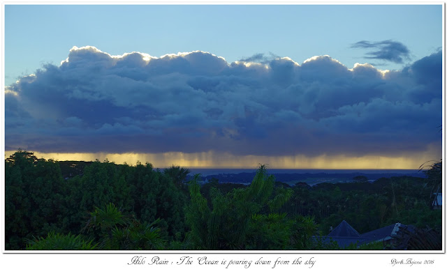 Hilo Rain: The Ocean is pouring down from the sky