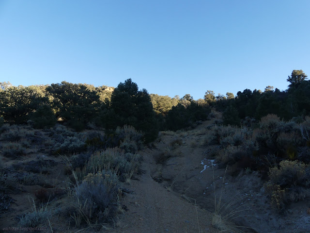 44: well eroded road