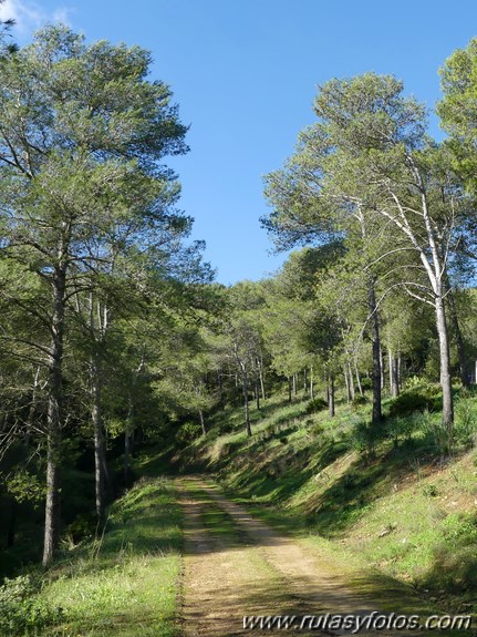 Sendero Las Quebradas (Vejer de la Frontera)