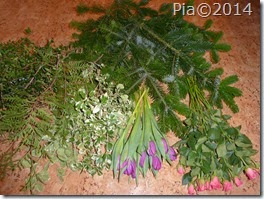P1040535