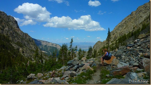 Elephant mountain hike_20090825_071