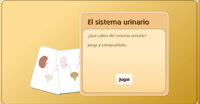 http://www.primaria.librosvivos.net/archivosCMS/3/3/16/usuarios/103294/9/cm4_u1_act2_bb/frame_prim.swf