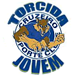 torcida jovem do cruzeiro
