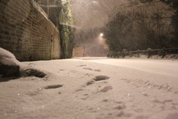 IMG_9188
