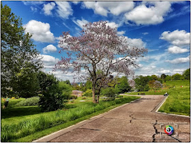 VILLERS-LES-NANCY (54) - Un dimanche de mai au Jardin botanique J.M Pelt