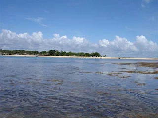 corales bahia brasil