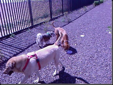 Photo-0294