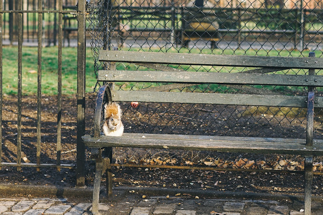 トンプキンズ・スクエア・パーク（Tompkins Square Park）