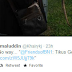 [GILA] 2 FOTO SCREENCAPT~FOTO TIKUS TERBESAR TERTANGKAP DI BANDAR ..KJ PUN TERKEJUT~