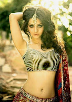 Hot, vedika, hot, navel, show, pics