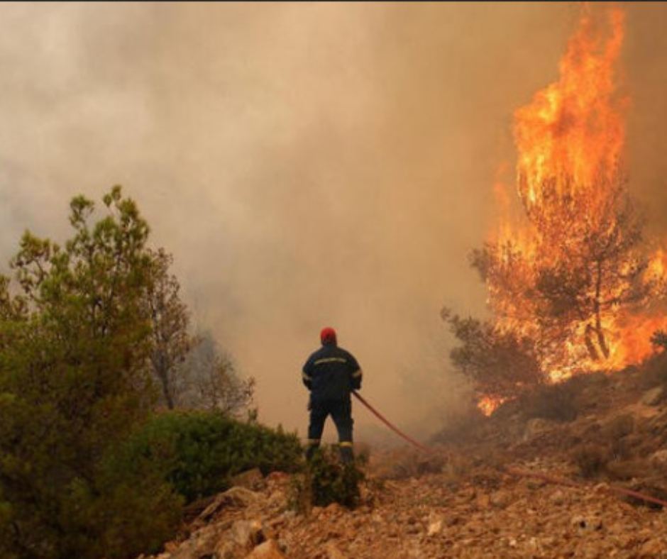 Specialists Blame Poor Govt Groundwork for Greek Fires