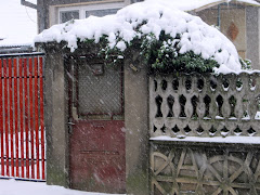 Our first snowfall