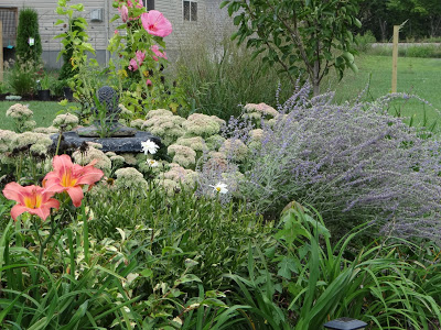 Come back!  | Daylily Blog about Regret and Reclaiming