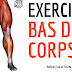 EXERCICES MUSCULATION BAS DU CORPS