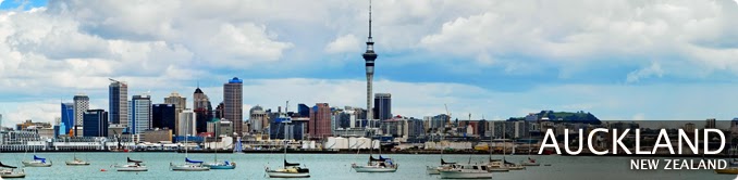  ve may bay gia re di auckland