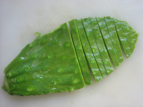 Our inCYST experiences with culinary cactus (nopal)