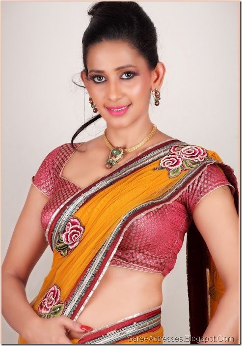 Sanjana Singh Hot Photo Shoot in Saree 2