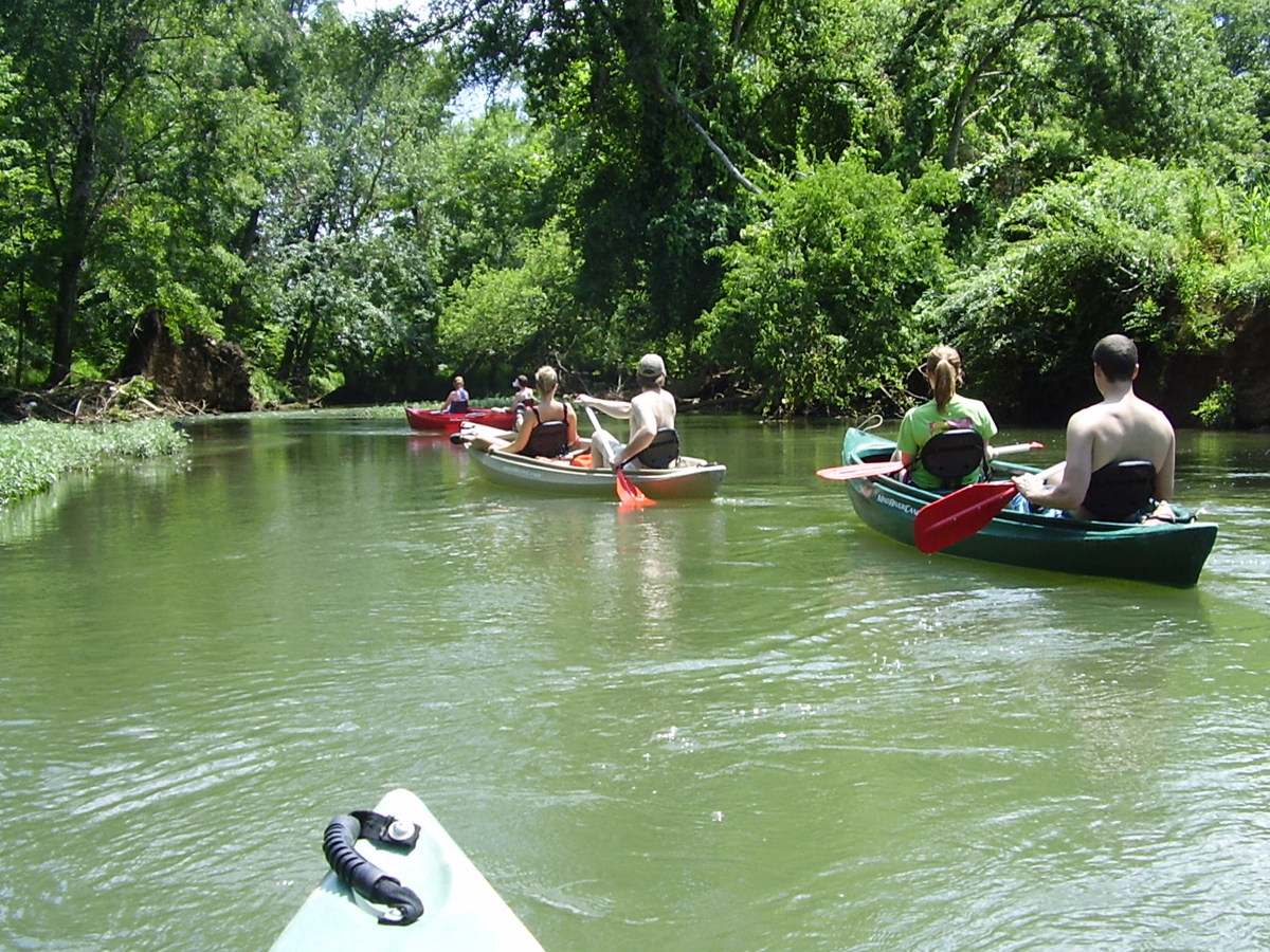 mohaus: A Four Hour Tour: Paddling the Flint River