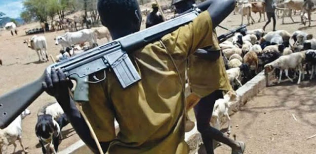 Suspected-Fulani-gunmen-kill-pregnant-woman-rape-others