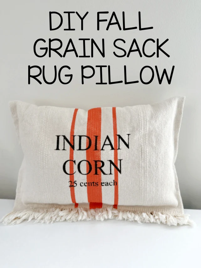 grain sack pillow with overlay